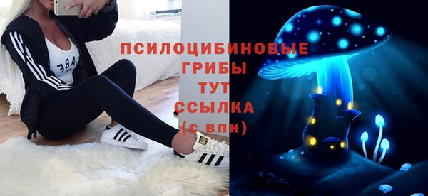спайс Нея