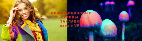 индика Сафоново