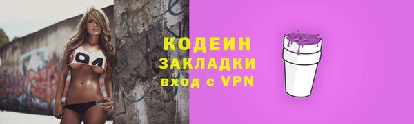 индика Сафоново