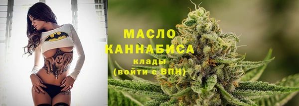 индика Сафоново