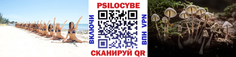 кракен ССЫЛКА  Емва  Псилоцибиновые грибы Psilocybine cubensis 